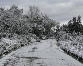 Previsões do tempo indicam chance de nevar esse sábado na Serra