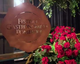 Vídeo: Conheça um pouco do que te espera no Festival Gastronômico de Pomerode