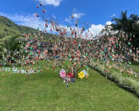 Árvore enfeitada com palha de milho ganha concurso de Osterbaum da Rota do Enxaimel