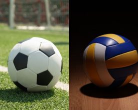 Campeonatos de Vôlei e Futebol entre empresas da WTF começam neste final de semana