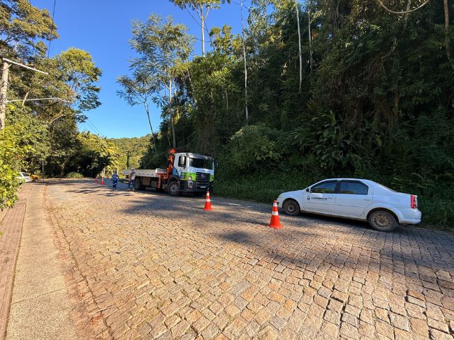 Defesa Civil de Pomerode realiza poda de árvores no Morro do Salto para reduzir risco de deslizamentos