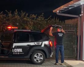 Drogas, arma falsa e maus-tratos a animais levam jovem de 22 anos à prisão em Pomerode