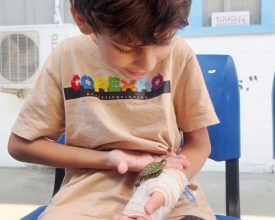 Hospital de Balneário Camboriú promove reencontro entre paciente e animal de estimação