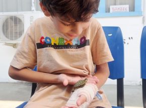 Hospital de Balneário Camboriú promove reencontro entre paciente e animal de estimação
