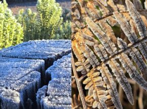 Serra Catarinense registra paisagem congelada na manhã desta segunda-feira (11) com temperaturas de -3ºC