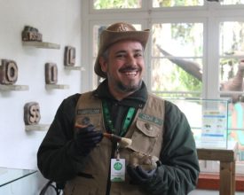 De colecionador de dinossauros à paleontólogo da Vila Encantada
