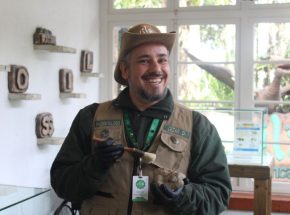 De colecionador de dinossauros à paleontólogo da Vila Encantada