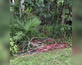 Ladrão de fios arromba casa, foge de bicicleta furtada e acaba preso em Rio dos Cedros
