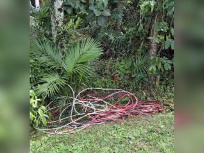 Ladrão de fios arromba casa, foge de bicicleta furtada e acaba preso em Rio dos Cedros