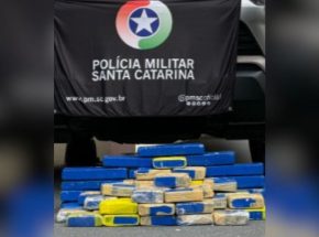 Mais de 30 kg de maconha são apreendidos em empresa distribuidora de Blumenau