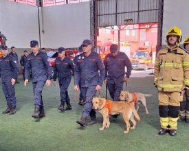 Santa Catarina enviará 20 bombeiros militares e dois cães de busca ao Rio Grande do Sul entre os dias 10 e 11 de junho