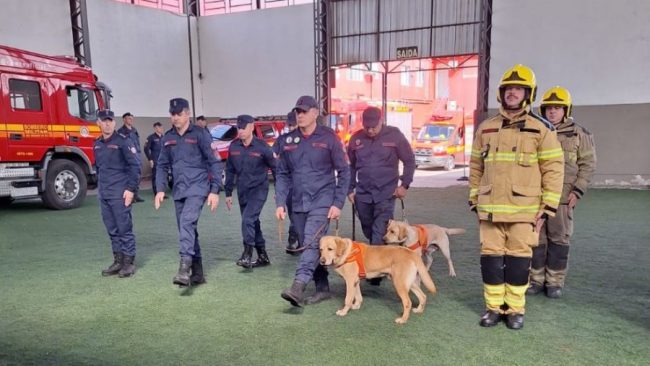 Santa Catarina enviará 20 bombeiros militares e dois cães de busca ao Rio Grande do Sul entre os dias 10 e 11 de junho