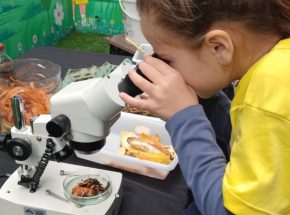 Escolas de Pomerode recebem oficinas práticas de educação ambiental e biodiversidade