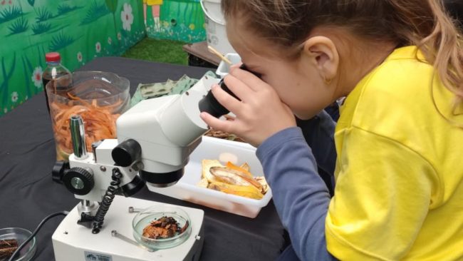 Escolas de Pomerode recebem oficinas práticas de educação ambiental e biodiversidade