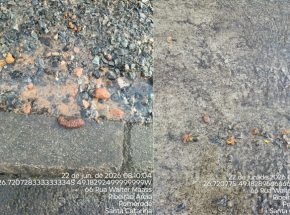 Pomerwasser se pronuncia após instauração de processo administrativo por parte da Prefeitura de Pomerode - Foto: Divulgação/PMP