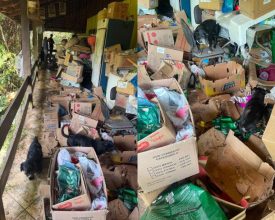 Homem que mantinha mais de 35 animais em ambiente totalmente precário é preso em Blumenau