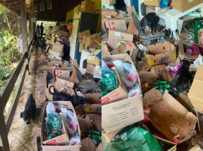 Homem que mantinha mais de 35 animais em ambiente totalmente precário é preso em Blumenau