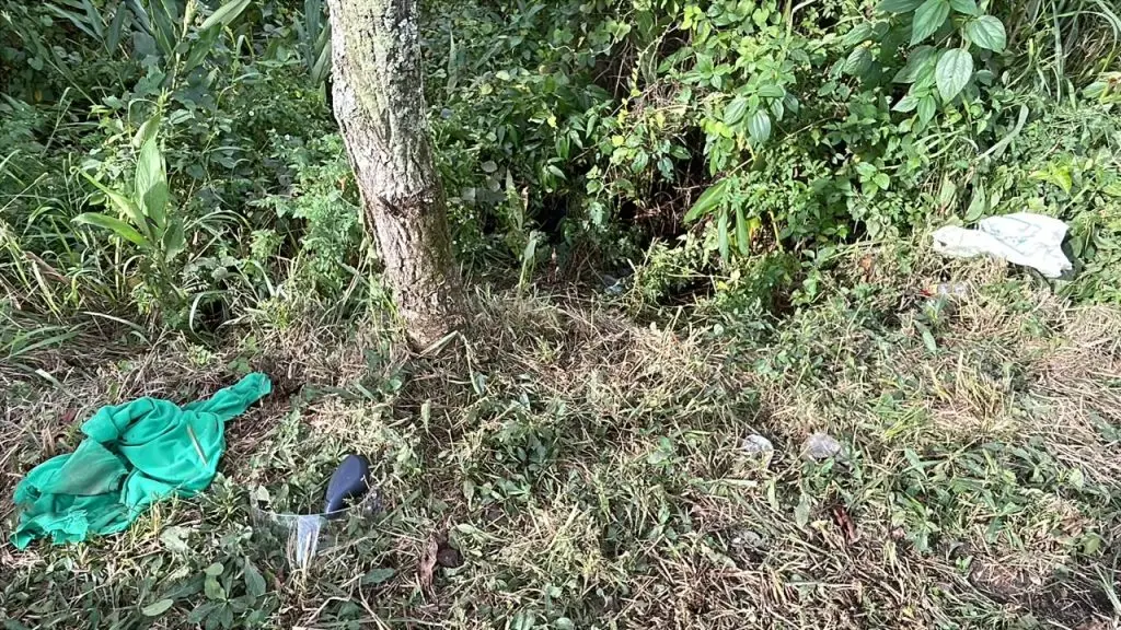 Vítima caiu em uma área de mata próximo a rodovia - Foto: Joan a Prochera/Jornal de Pomerode