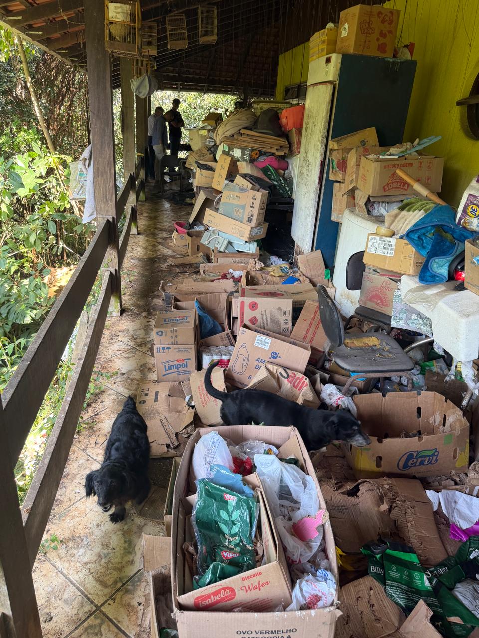 Veja como estava casa onde viviam mais de 35 animais em Blumenau - Foto: Divulgação/PCSC