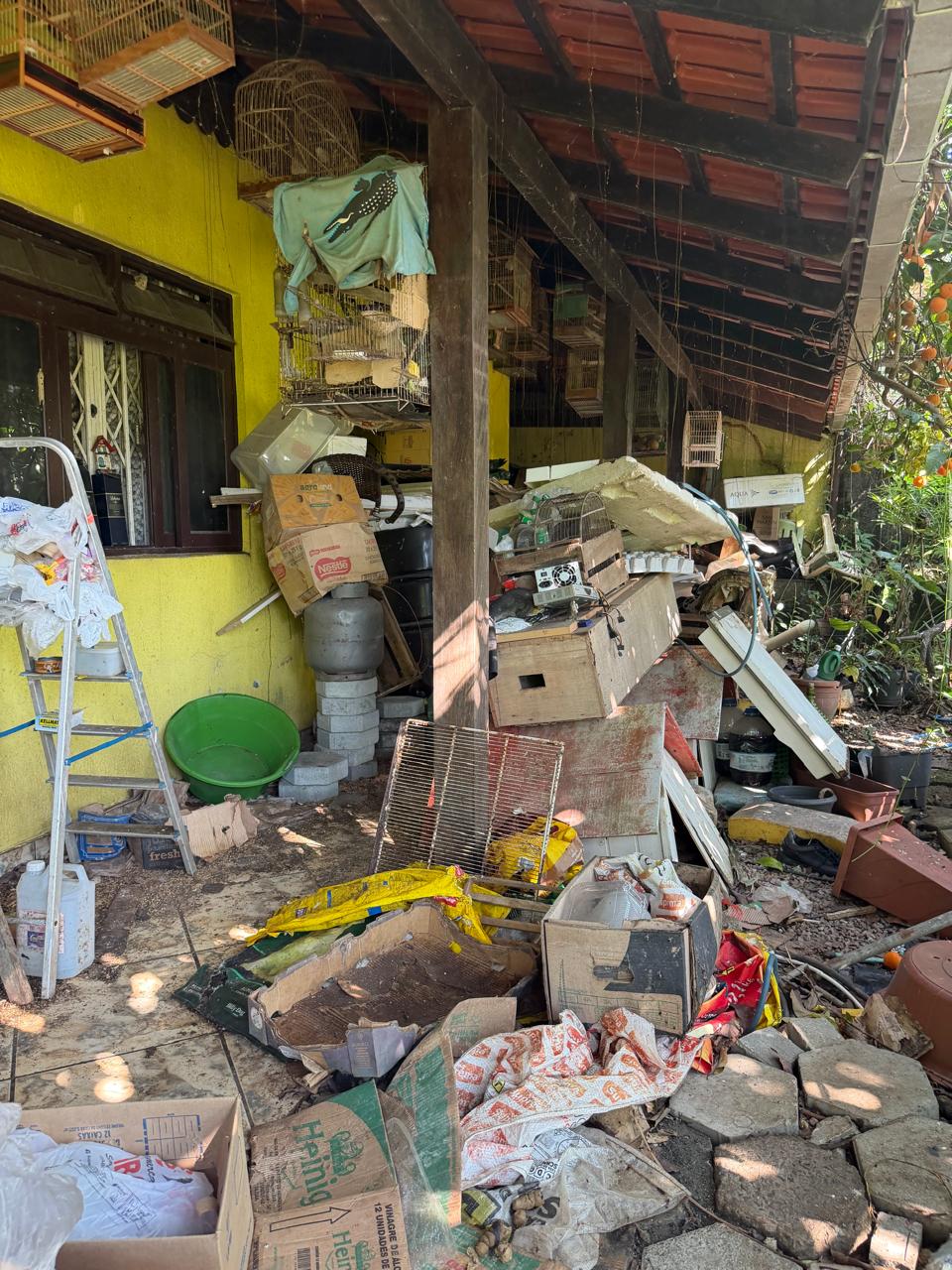 Veja como estava casa onde viviam mais de 35 animais em Blumenau - Foto: Divulgação/PCSC