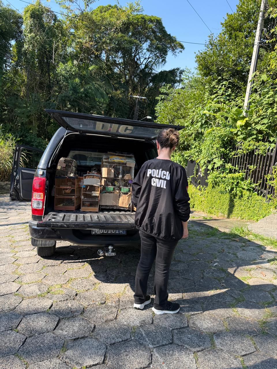 Veja como estava casa onde viviam mais de 35 animais em Blumenau - Foto: Divulgação/PCSC